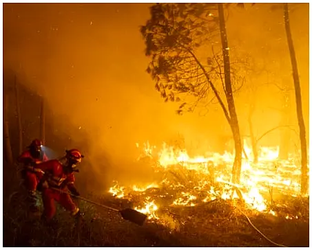 Climate Crisis: A Looming Global Health Emergency?
