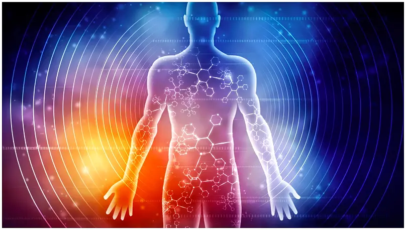 The Deep Fast: New Research Maps Body's Radical Shift Beyond Calories
