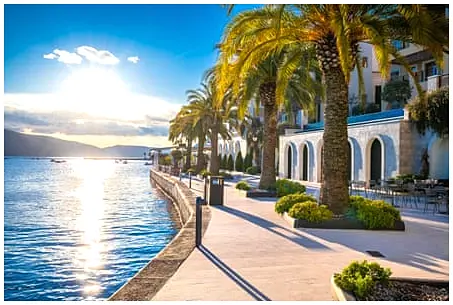 Unpacking Montenegro's Wellness Machine: My Descent into 'Sweet Torture' and Olympic Aspirations