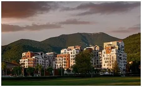 Unpacking Montenegro's Wellness Machine: My Descent into 'Sweet Torture' and Olympic Aspirations