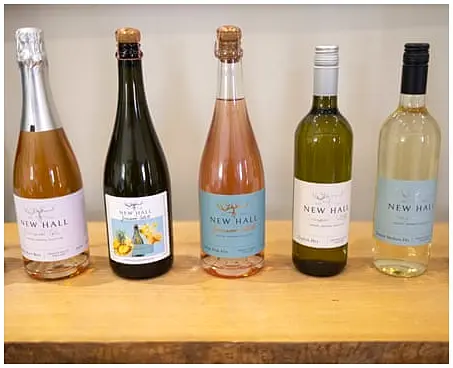 Essex's Uncorked Secret: How a UK County Became the Unexpected Darling of Global Viticulture - Image 1